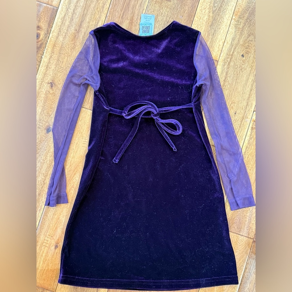 Brook Lindsey Velveteen Dress - Picture 8 of 8